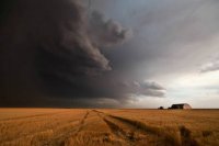 Создать мем The black cloud is approaching