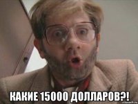  какие 15000 долларов?!