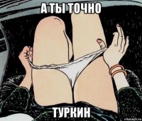 а ты точно туркин