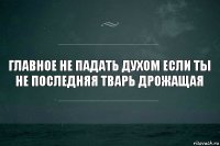 главное не падать духом если ты не последняя тварь дрожащая