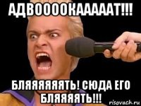 адвоооокааааат!!! бляяяяяять! сюда его бляяяять!!!