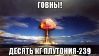 говны! десять кг плутония-239