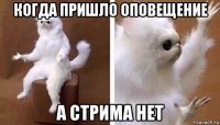 когда пришло оповещение а стрима нет