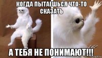 когда пытаешься что-то сказать а тебя не понимают!!!