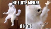 не еште меня! я кот!