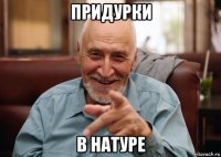 придурки в натуре