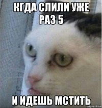 кгда слили уже раз 5 и идешь мстить