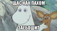 щас как пахом заебошит