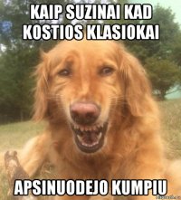 kaip suzinai kad kostios klasiokai apsinuodejo kumpiu