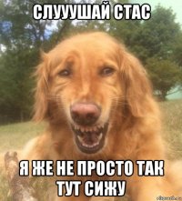 слууушай стас я же не просто так тут сижу