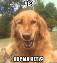 чё? корма нету?