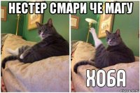 нестер смари че магу 