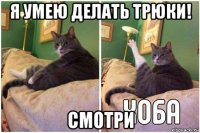 я умею делать трюки! смотри