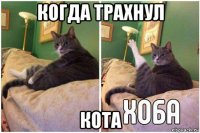 когда трахнул кота