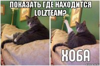 показать где находится lolzteam? 