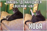 знаешь где находится lolichan +18? 