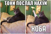 тони послал нахуй 