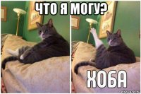 что я могу? 