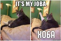 it's my joba 