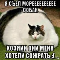 я съел морееееееееее собак хозяин они меня хотели сожрать :(