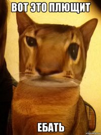 вот это плющит ебать