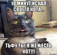 10 минут искал своего кота... тьфу ты, я же и есть кот!!!