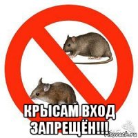  крысам вход запрещён!!!