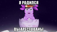 я родился вы арестованы
