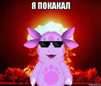 я покакал 