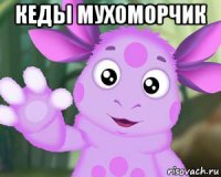 кеды мухоморчик 