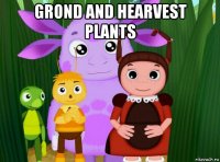 grond and hearvest plants 