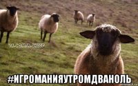  #игроманияутромдваноль