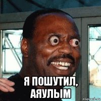  я пошутил, аяулым
