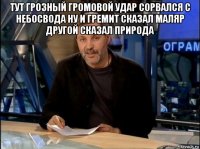 тут грозный громовой удар сорвался с небосвода ну и гремит сказал маляр другой сказал природа 