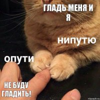 гладь меня и я Не буду гладить!