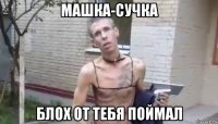 машка-сучка блох от тебя поймал
