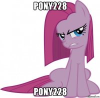 pony228 pony228