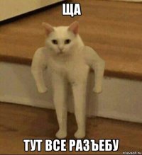 ща тут все разъебу