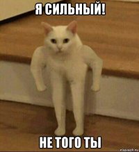 я сильный! не того ты