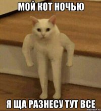 мой кот ночью я ща разнесу тут все