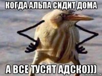 когда альпа сидит дома а все тусят адско)))