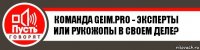 Команда geim.pro - эксперты или рукожопы в своем деле?