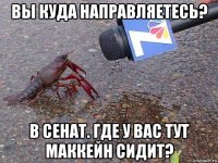 вы куда направляетесь? в сенат. где у вас тут маккейн сидит?