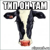 тип он там 