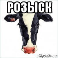 розыск 