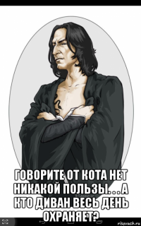  говорите от кота нет никакой пользы. . . а кто диван весь день охраняет?