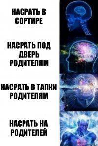 Насрать в сортире Насрать под дверь родителям Насрать В тапки родителям Насрать на родителей