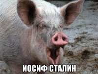  иосиф сталин
