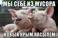 мы себе из мусора новый крым насыпем