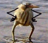 щ 